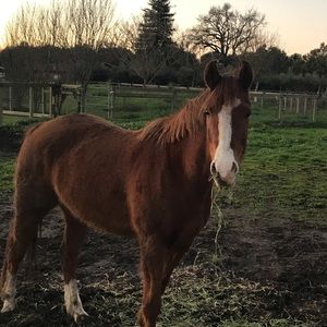 Meet your Posher, Jacalyn